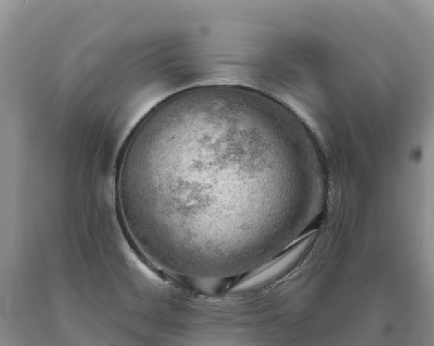 X0000090631468200707241141