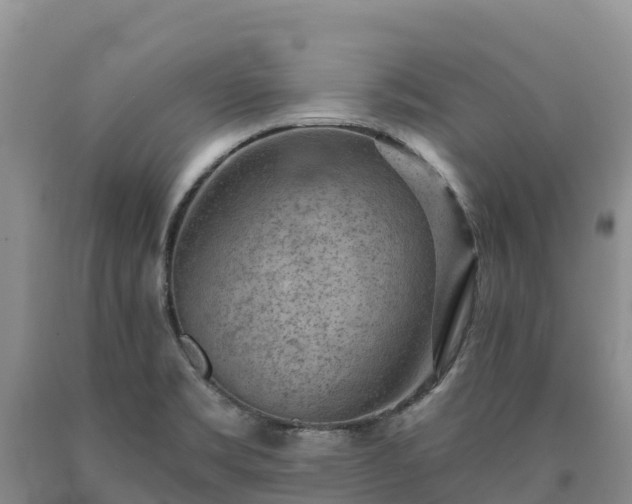 X0000090631469200707241141