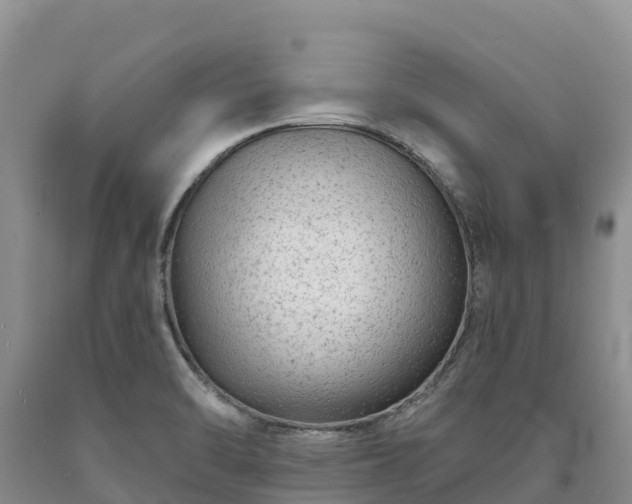 X0000090631470200707241141