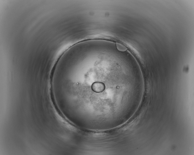 X0000090631471200707241141