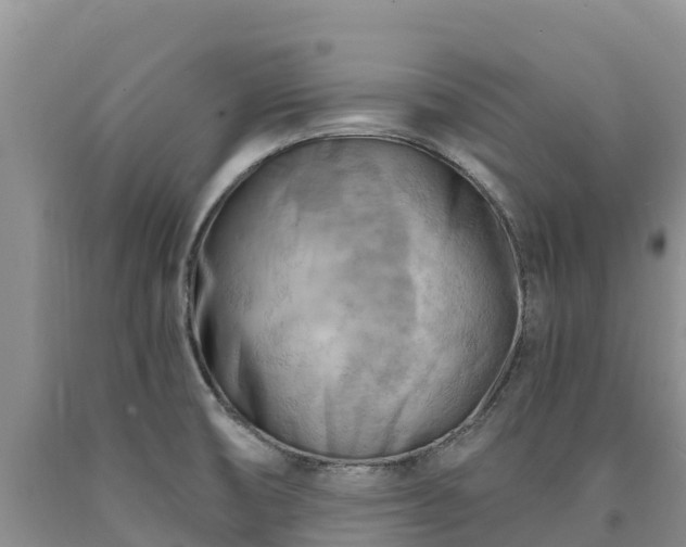 X0000090631474200707241141