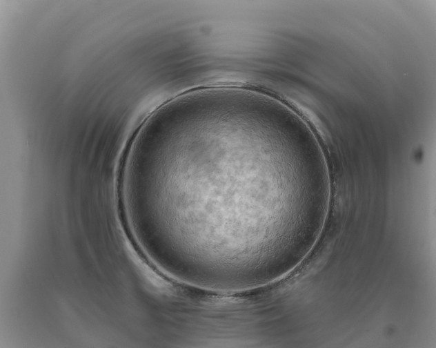 X0000090631475200707241141