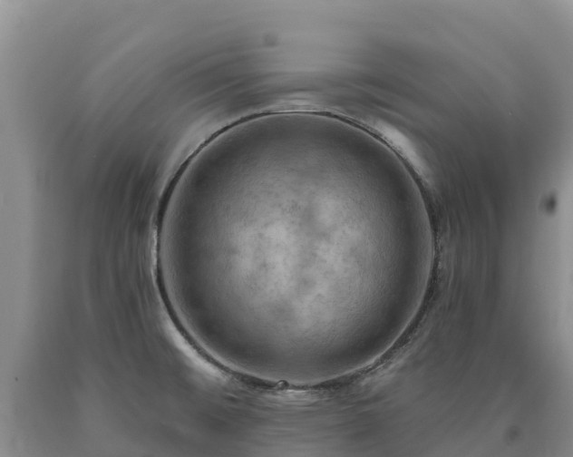 X0000090631476200707241141