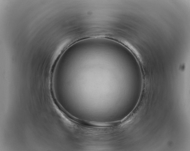X0000090631477200707241141