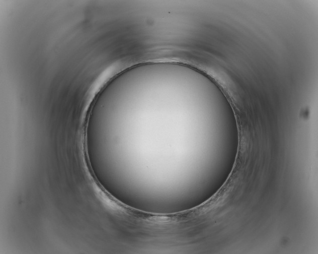 X0000090631478200707241141