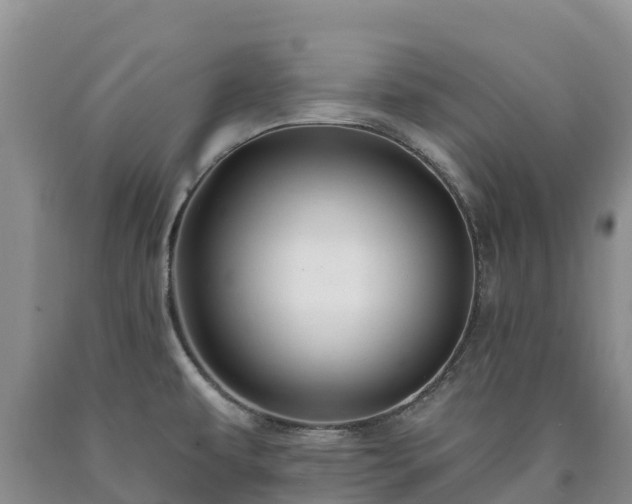 X0000090631479200707241141