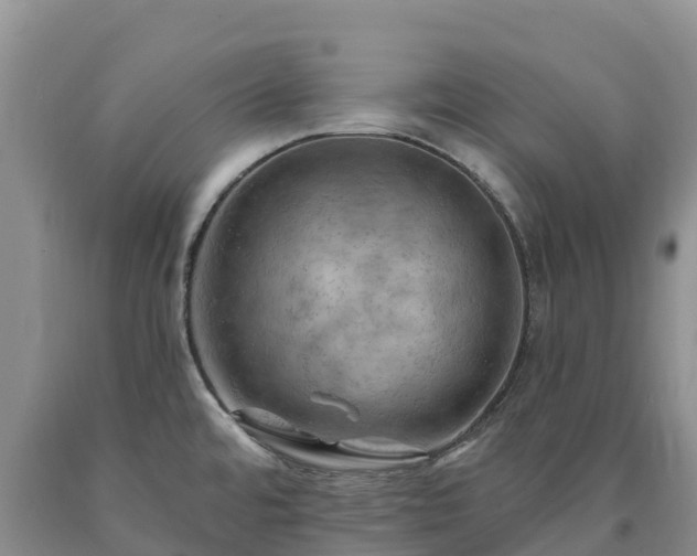 X0000090631480200707241141
