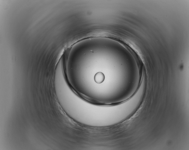 X0000090631481200707241141