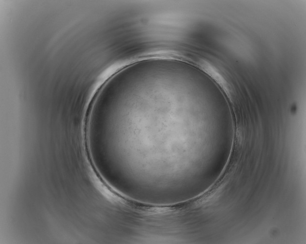 X0000090631482200707241141