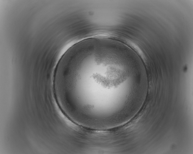 X0000090631483200707241141