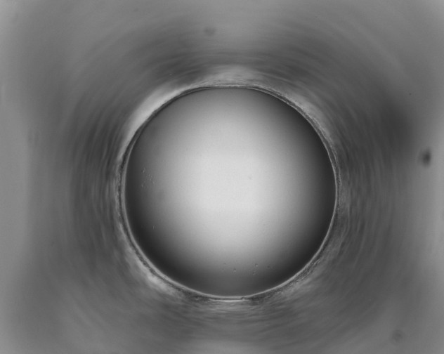 X0000090631486200707241141