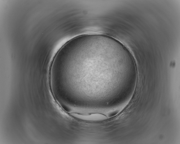 X0000090631488200707241140