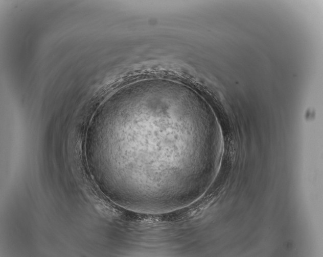 X0000090631489200707241140