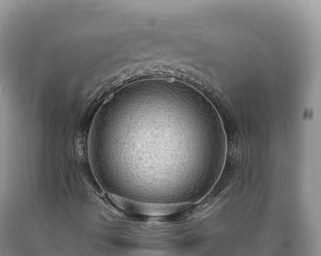 X0000090631490200707241140