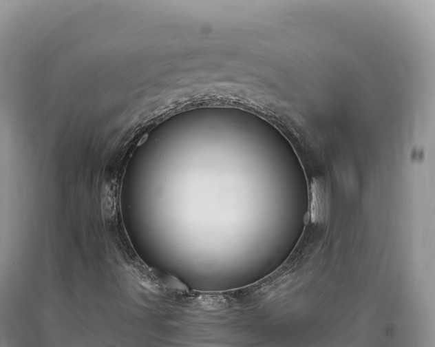 X0000090631491200707241140