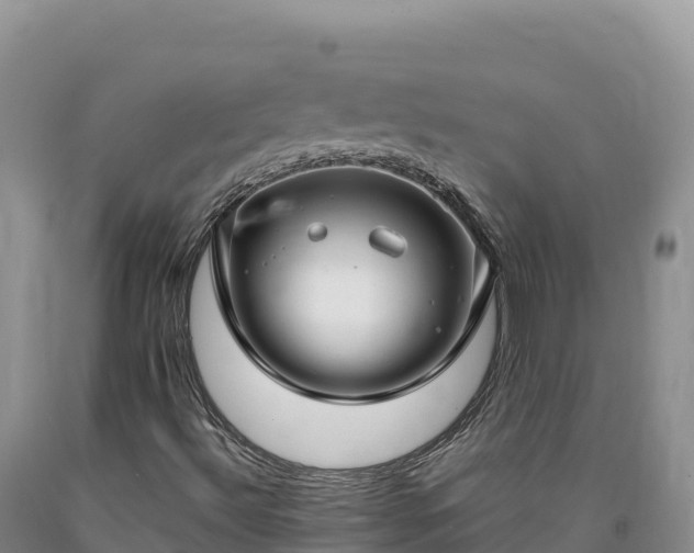 X0000090631492200707241140