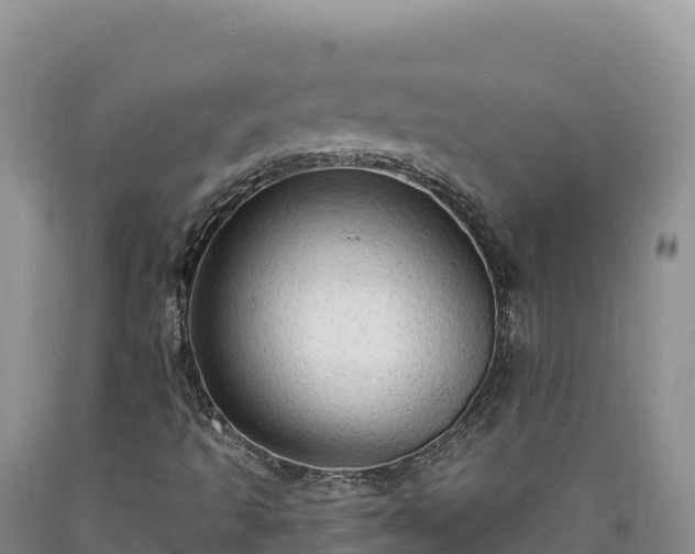 X0000090631493200707241140