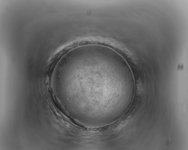 X0000090631494200707241140