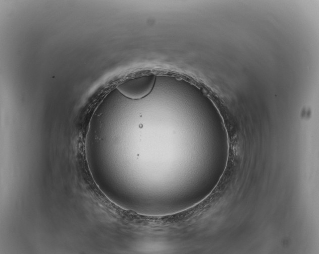 X0000090631495200707241140