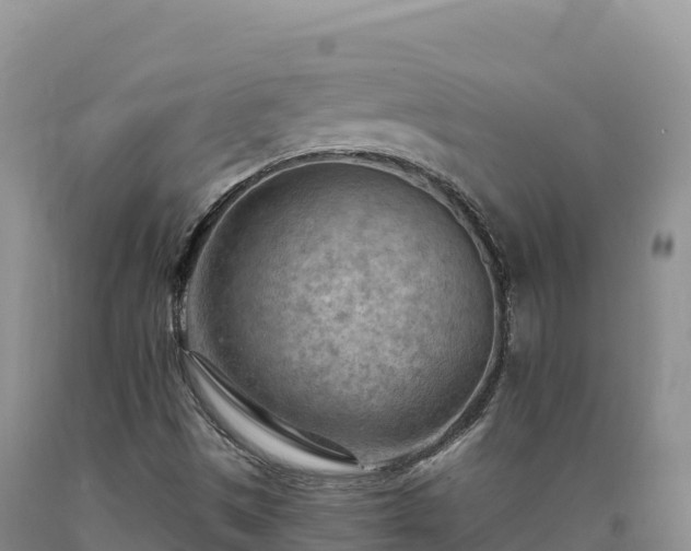 X0000090631497200707241140