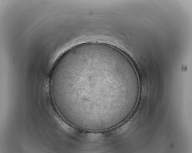 X0000090631498200707241140