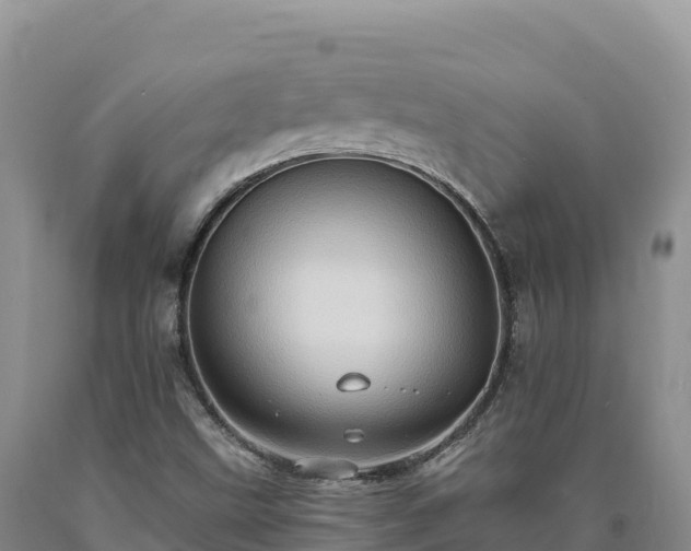 X0000090631499200707241140