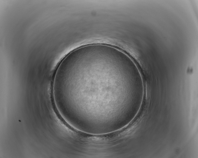 X0000090631500200707241140