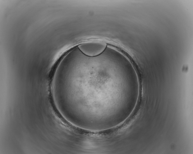 X0000090631501200707241140