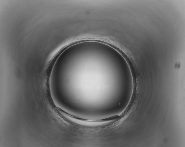 X0000090631502200707241140