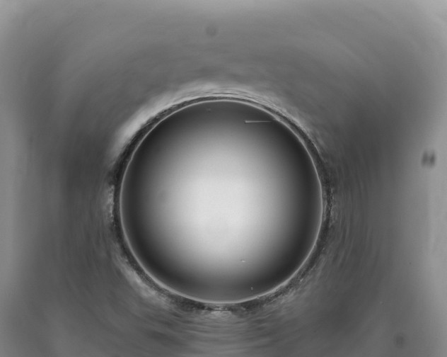 X0000090631503200707241140