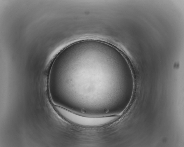 X0000090631504200707241140