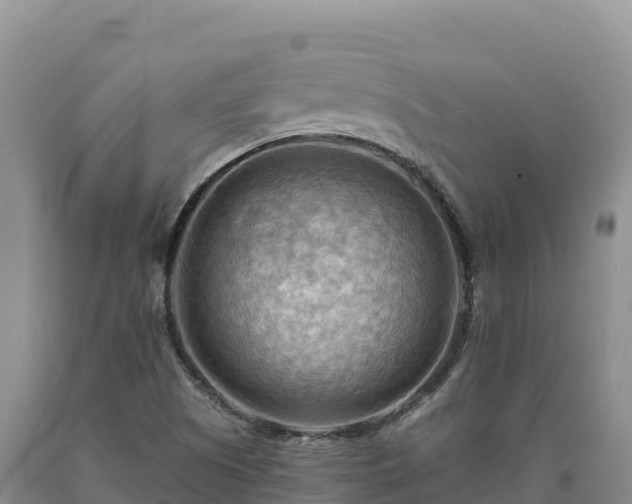 X0000090631505200707241140