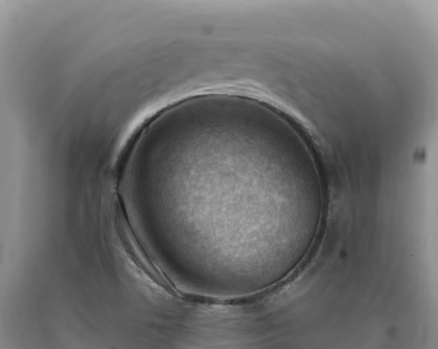 X0000090631506200707241140