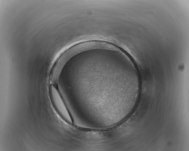 X0000090631508200707241140