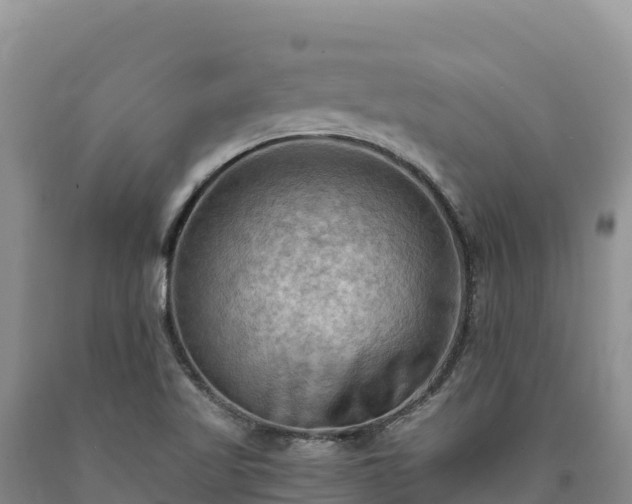 X0000090631509200707241140