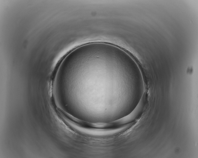 X0000090631510200707241140