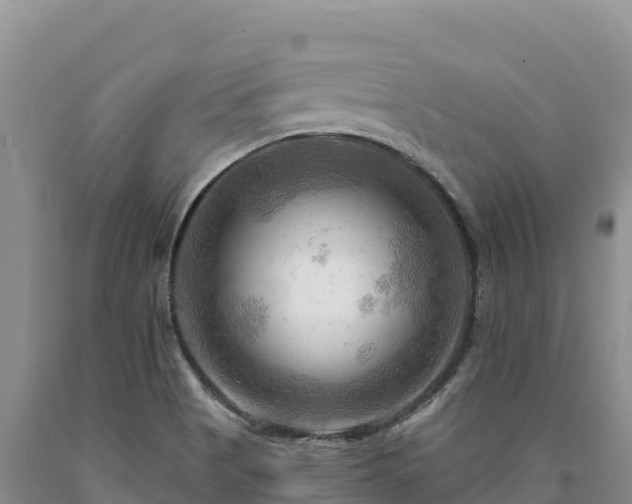 X0000090631513200707241140