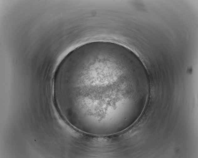X0000090631515200707241140