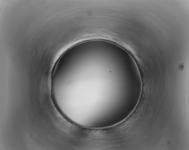 X0000090631516200707241140