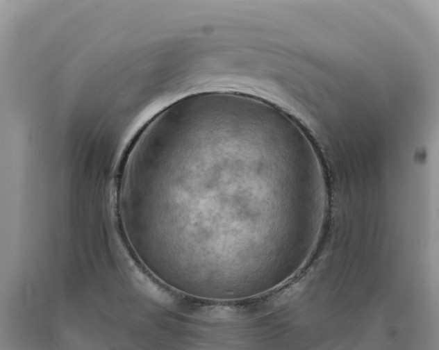 X0000090631517200707241140