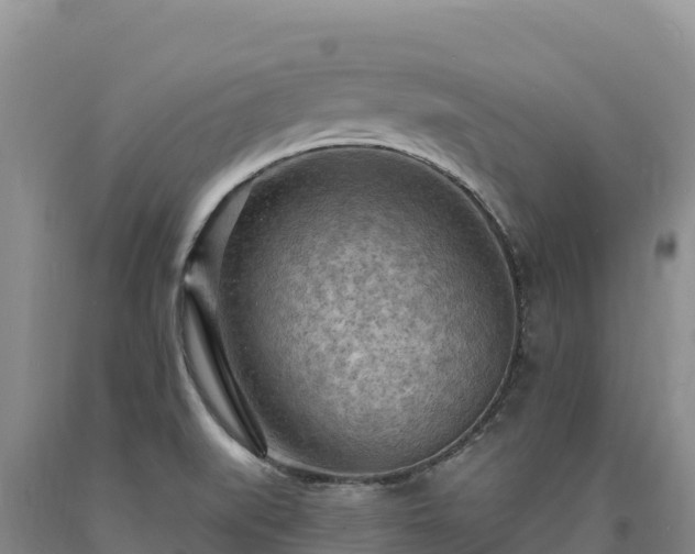 X0000090631519200707241140