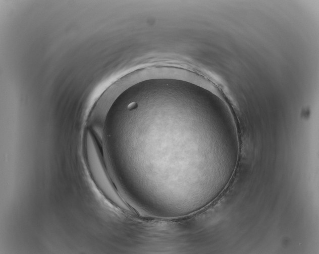 X0000090631520200707241140