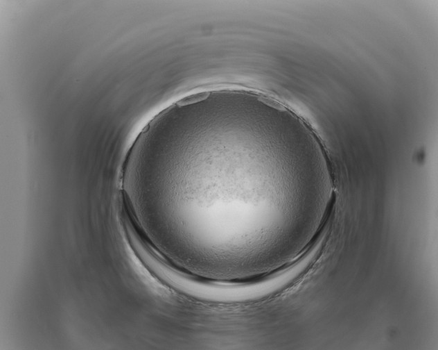 X0000090631524200707241140