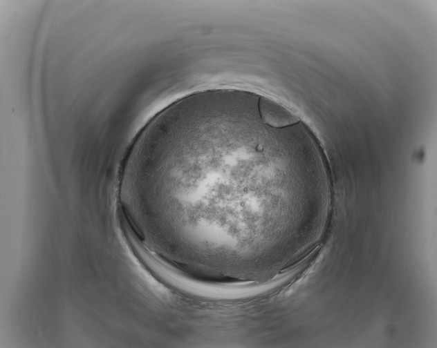 X0000090631525200707241140