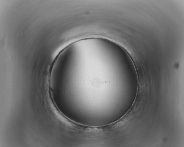 X0000090631526200707241140