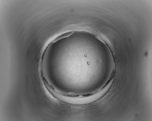 X0000090631528200707241140