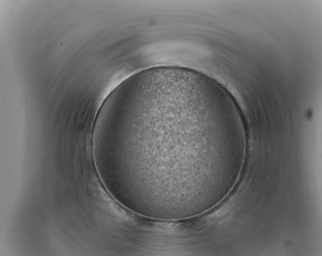 X0000090631529200707241140