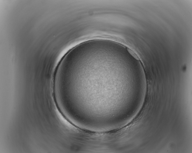 X0000090631531200707241140