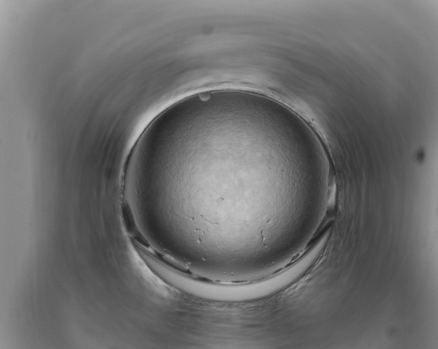 X0000090631532200707241140