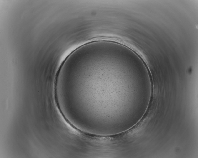 X0000090631533200707241140
